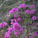 침산공원 이미지