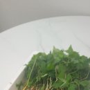 연세경인 태권도 이미지