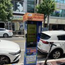 울산남구 블루리본 맛집 아니마 양식전문점 내돈내산 후기