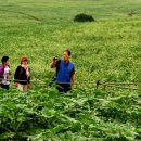 기쁨이 가득한 곳 이미지