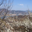 매화휴게실