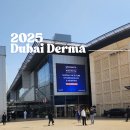 2025 두바이 더마(DUBAI DERMA) 피부 미용 박람회 참가 후기