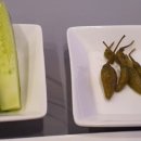 바다뚜껑여는집