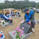 제주특별자치도청 이미지