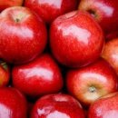 9월 모텔 이미지