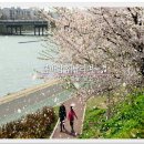 대구명곡초등학교 이미지