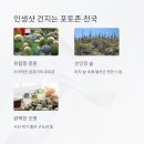선인장이 이렇게 귀여울 일!? 2025 일산 선인장전시관 후기
