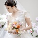 메리노엘