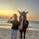 물놀이가자 | [발리 여행] 길리T에서 물놀이 못할 땐 길리 선셋 승마 체험 후기(ft. 30분)