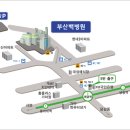 인제대학교부산백병원 이미지