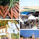 지2마켓 이미지