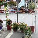 계천시장 이미지