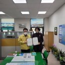 진도담배 이미지