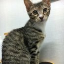 성서주공2 이미지