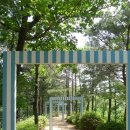 주식회사 통일관광 이미지