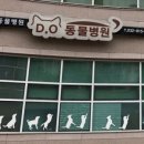 디오 동물병원 이미지