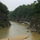 세룡이네