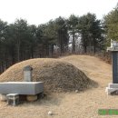 신호 묘 이미지