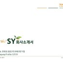 에스와이 글로벌(SY Global)