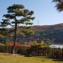 기흥SK아펠바움콘도 네이버블로그