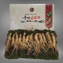 대경수삼