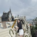 베트남 달랏 여행 마트 추천, 고달랏 쇼핑리스트 및 구경하기