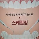 서울하얀나라치과의원 이미지