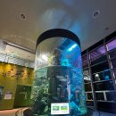 간전중앙로 | 아이와 함께 가기 좋은 구례 실내체험｜섬진강어류생태관 방문 후기