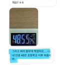 보미오라환 후기 (최대40%할인 링크 포함) 다이어트종착역 한약다이어트 식욕억제