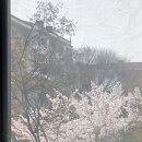 철따라계절따라 이미지