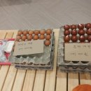 수 사우나 찜질방 이미지