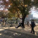 한국숲밧줄놀이연구회천안아산지부 네이버블로그