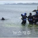 제주시 하도어촌계 이미지