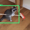 Training Time 이미지