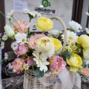 도란도란한의원 이미지