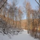 미숭산자연휴양림 이미지