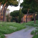 도미네로 이미지