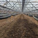 해찬농장 이미지