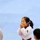 푸른태권도체육관 이미지