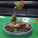 합천군골프연습장 이미지