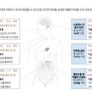 스마트하게 나도 유튜버 이미지