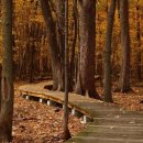 베스트카센타 이미지