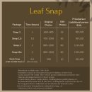 리프(leaf) | 베트남 다낭 호이안 현지작 리프스냅 Leaf Snap 촬영 후기 스냅추천