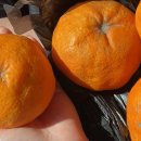 삼거리슈퍼식당 이미지