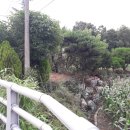 정원부동산중개사무소 이미지