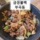 126 | [금정구 부곡동 맛집] 혼밥 맛집 '금정불백' – 까망불백 vs 빨강불백 비교 리뷰
