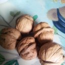 송천초등학교병설유치원 이미지