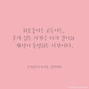 시사공인중개사사무소 이미지