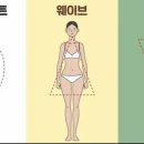 골격 유형별 특징 정리해드림 이미지