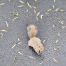 같이걷다